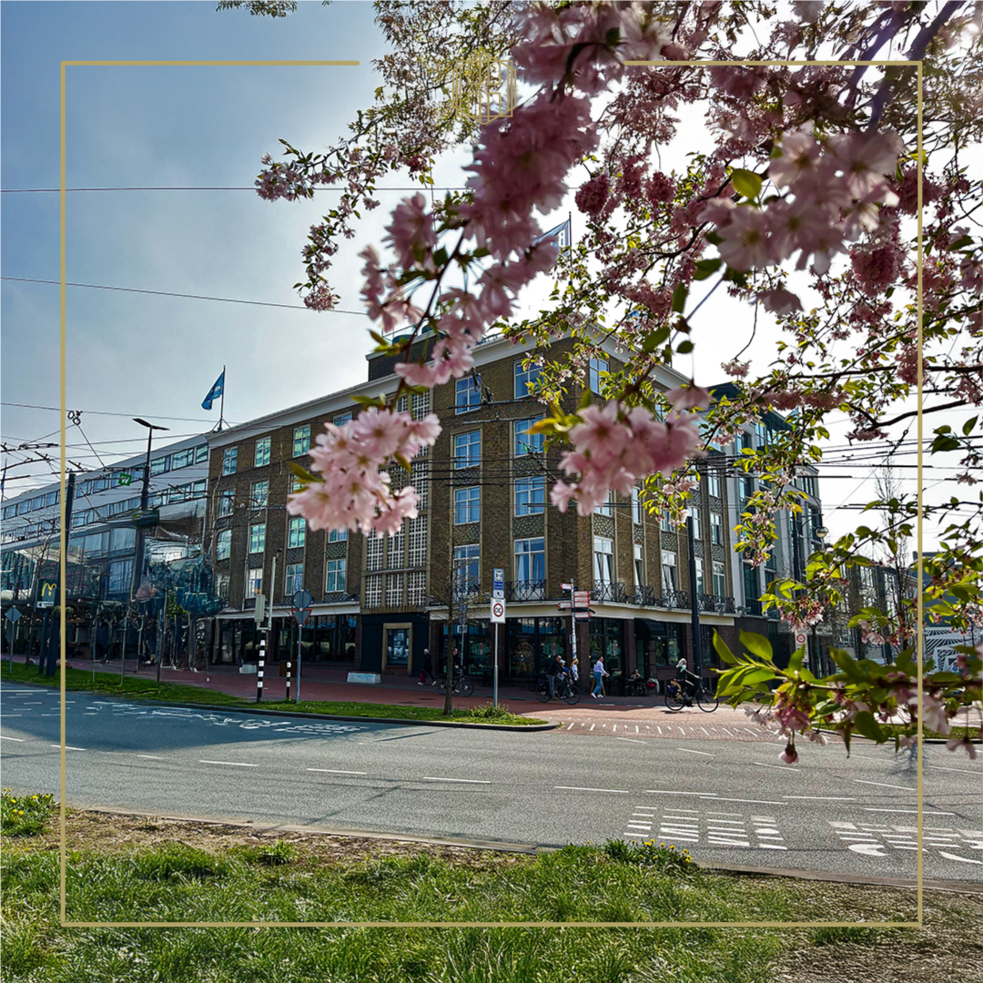 HAARHUIS TEMPLATE  INSTAGRAM  (11).png