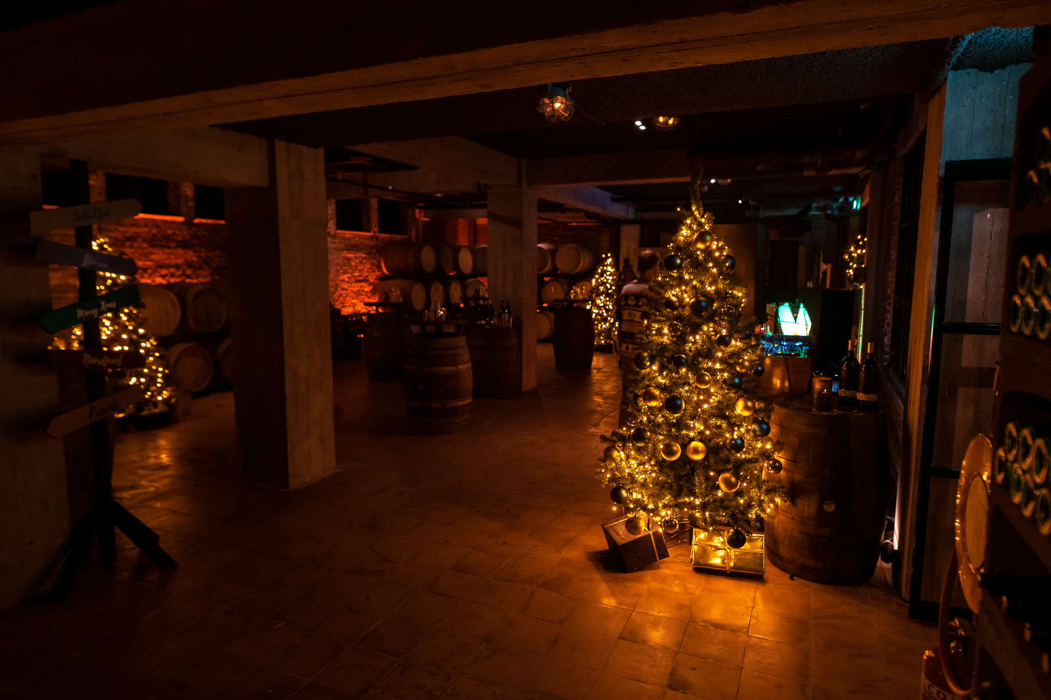 001_EnriqueMeesters_Haarhuis_Kerstevent_WEB_20220915.jpg